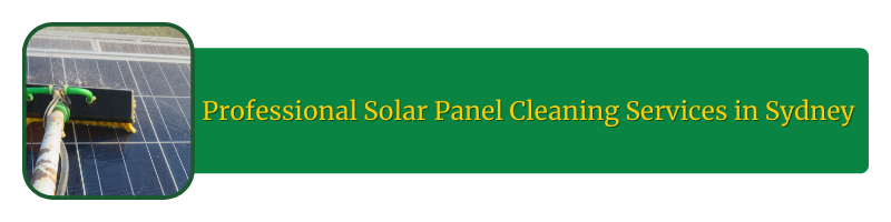 professional solar panel cleaning service provider sydney australia